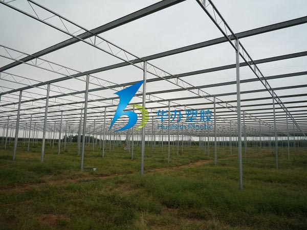 連云港東?？h雙店鎮(zhèn)溫室大棚PC陽光板